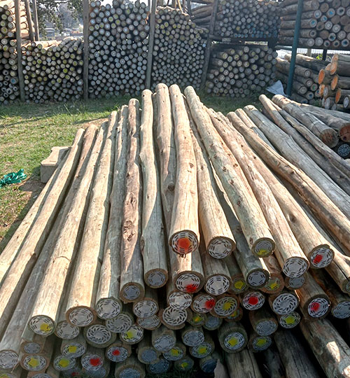 Buy Treated Poles at Durban Poles