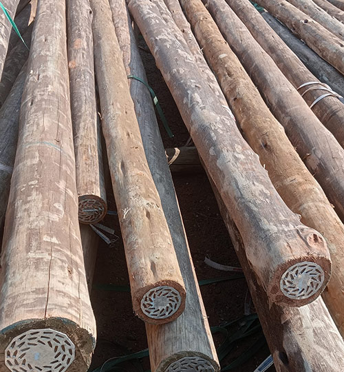 CCA Treated Poles Selling in Durban