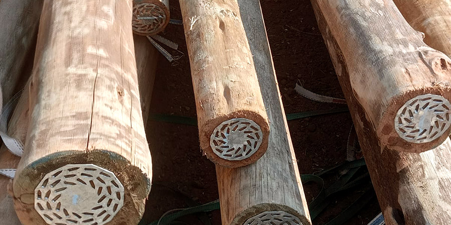 H4 Treated Poles